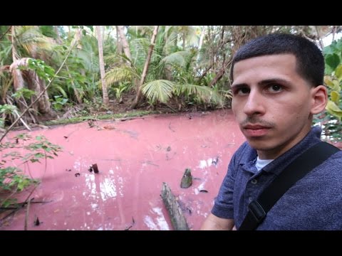 The Pepto-Bismol Lake In Puerto Rico!!!