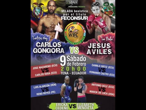 Carlos Góngora (ECU) vs. Jesús Avilés (PER)