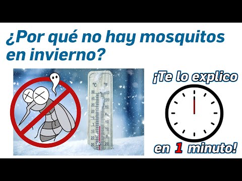 61. Why are there no mosquitoes in winter? - I'll explain it in one minute!