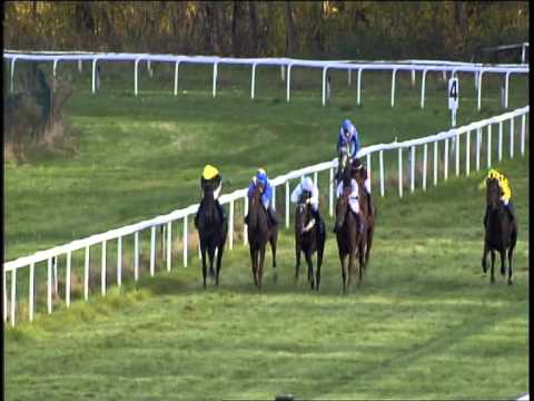 Galopprennbahn Dresden 26.10.2013 - 6.Rennen