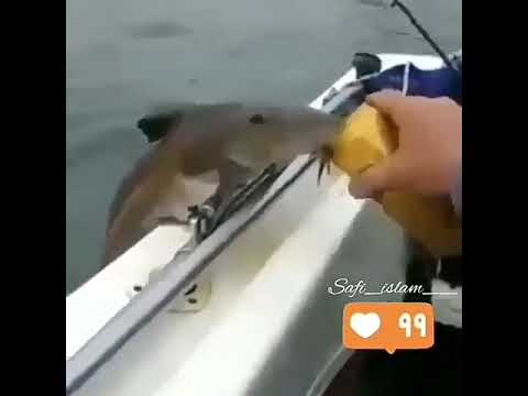 Это мир прекрасно(27)