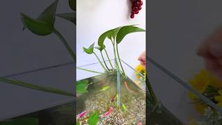 Download lagu Wire made #toopa #aqauticplants #trending #fishtanksetup  #fish #fishtank #fishaquarium #aquarium mp3