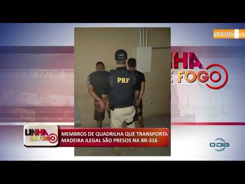 LINHA DE FOGO (06 11) MEMBROS DE QUADRILHA QUE TRANSPORTA MADEIRA ILEGAL SíO PRESOS NA BR-316