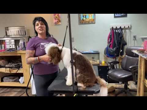 Video preview: Inside Best Friendz Too Grooming