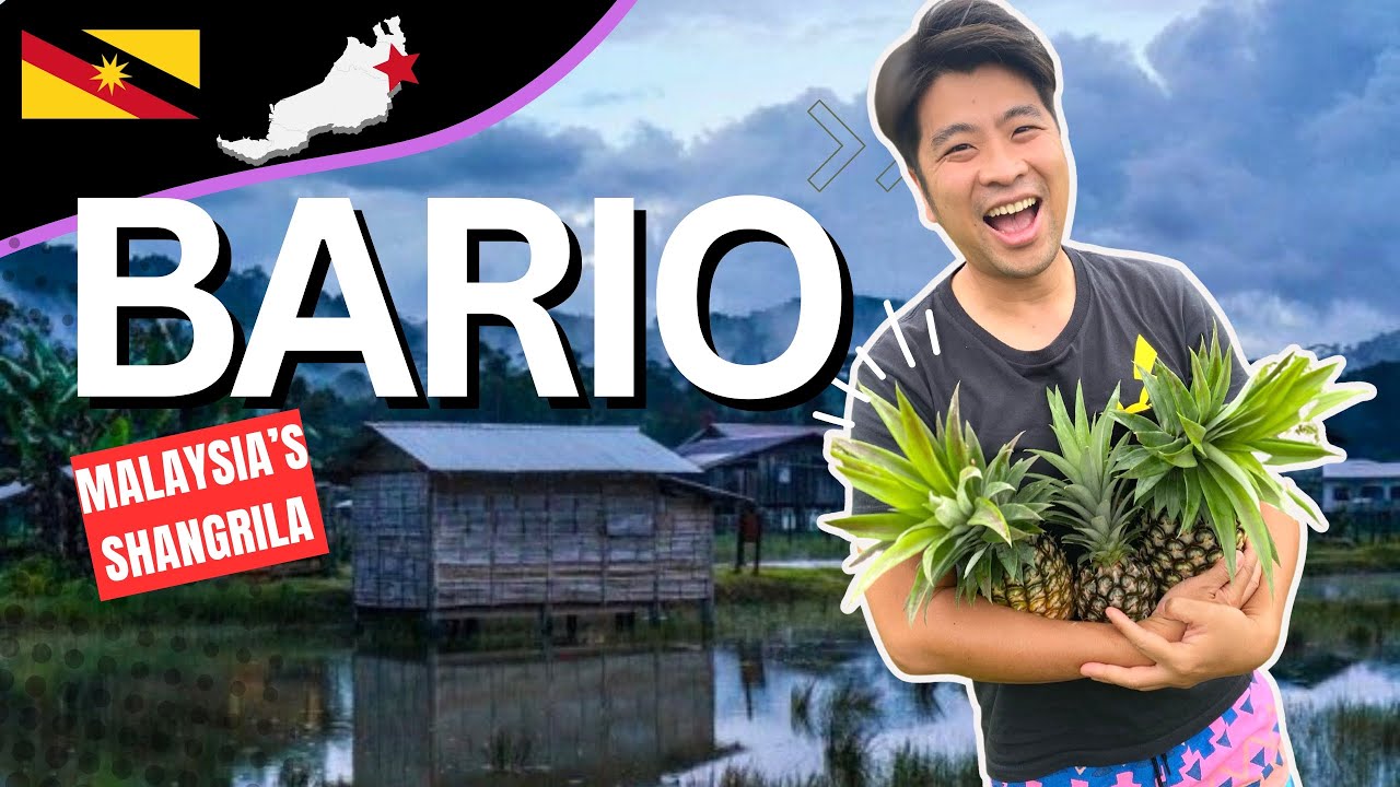 BARIO 🌾🍍🧂 The Kelabit Highlands of Sarawak Borneo | Malaysia's Shangri-la 马来西亚 🌾 砂拉越 🐦 香格里拉 🌿