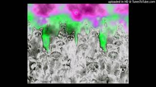 Arcarsenal - Raccoons