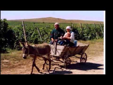 Las Balkanieras "BABA" Tribute to Dino Dvornik