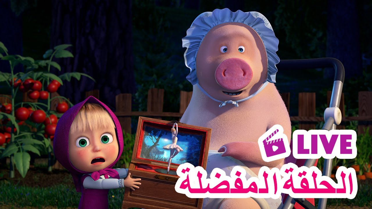 ماشا والدب 🐻👱‍♀️ LIVE STREAM! 🎬 الحلقة المفضلة 🌟 Masha and the Bear