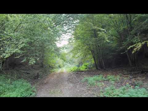 Mustesti septembrie 2020