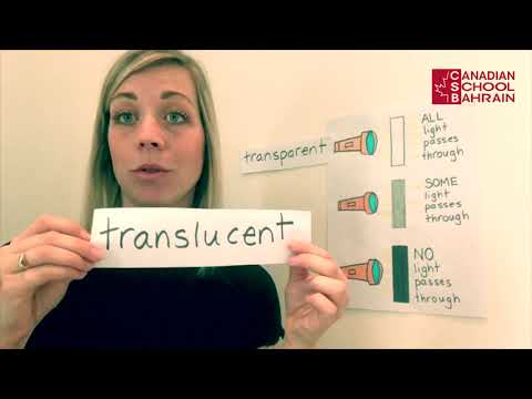 Learning vocabulary and science with Ms. Brianne | Canadian School Bahrain | BC Curriculum | Bahrain