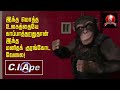 C.I.Ape | Hollywood Fun & Adventure Movie Trailer | Children Special | Tamil Movie | சி.ஐ.ஏப் தமிழ
