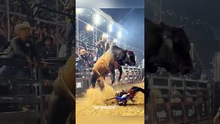 A Brutalidade do EXTRAPOLAR da Cia Paulo Emílio 💥