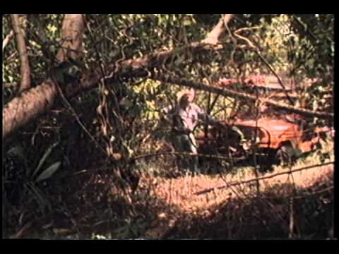 1978 Jeep Expedition of the Americas