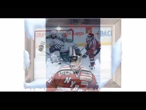 Nybro Vikings - arkiverat