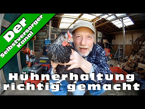 Hühnerhaltung richtig gemacht