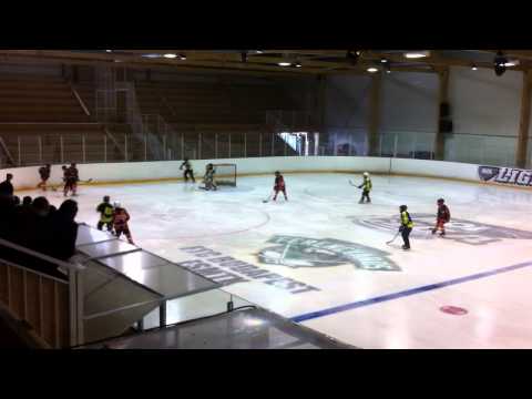 Miskolci Jegesmedvék - Pesterzsébeten (U12)