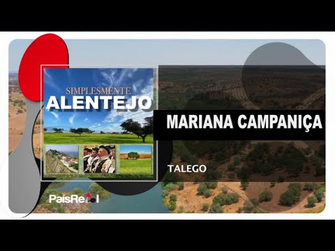Talego - Mariana Campaniça