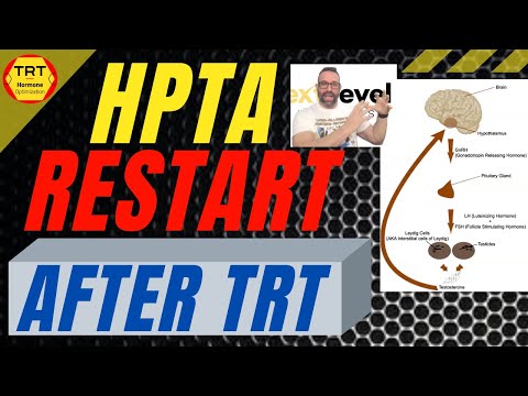 How To Stop TRT Therapy? HPTA Restart after TRT: HPTA Restart Protocol