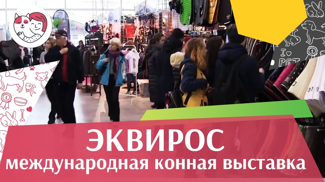 Международная конная выставка ЭКВИРОС на ilikepet
