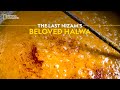 The Last Nizam's Beloved Halwa | It Happens Only in India | National Geographic