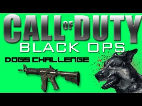 BLACK OPS | THE DOGS CHALLENGE | COMMANDO FAST