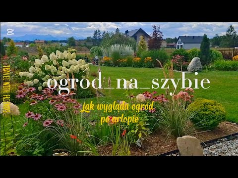 Garden after vacation🫢 and why I don't grow dahlias.