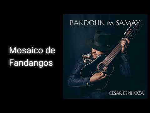 Mosaico de Fandangos - Ecuador 🇪🇨