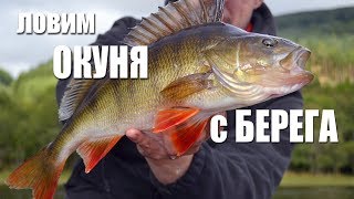 Ловля щуки на техасскую оснастку с берега