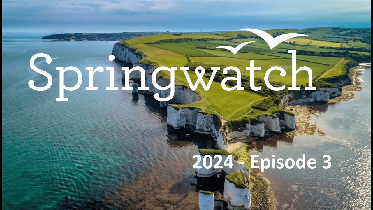 Springwatch 2024   Episode 3