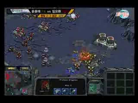 starcraft  Boxer MVP ghost