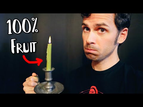 I Made a CANDLE out of BERRIES - The Incredible North American Bayberry