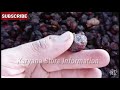 Dry Aloo Bukhara| Dried Black plum  Wholesale Retail price Review | Prunes!Karyana Store Information