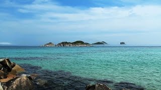 ☸ڿڰۣ-ڰۣMy Love