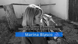Marina ha encontrado trabajo en Tierra Rapaz Marina ha encontrado trabajo en Tierra Rapaz