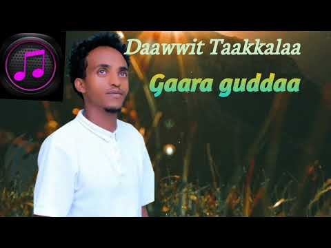 Daawwit Taakkalaa /Gaara Guddaa/New Ethiopian Oromo Music 🎶 (2025)