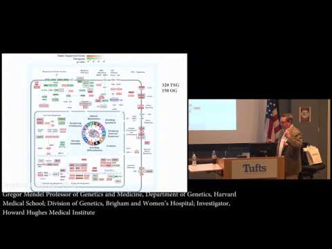 2016 Tufts Cancer Symposium: Stephen J. Elledge