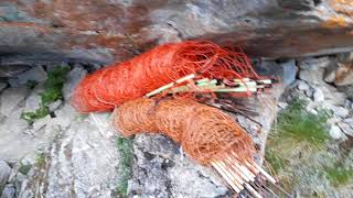 Live-Video vom Tomülpass- Schäferhöhle und ewiger Regen
