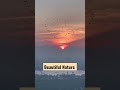 Good Morning Songs Beautiful Nature Song Love Status Motivation Hindu Goodmorning Motivation