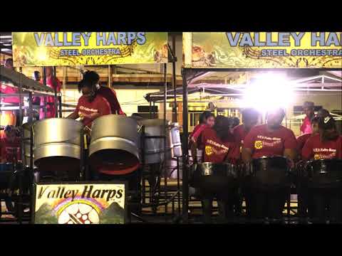 02- Valley Harps Steel Orchestra - Medium Bands Panorama Prelims North 2020