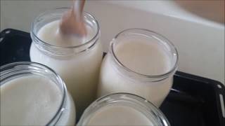 Ev yapımı yoğurt. Yoğurt mayalama