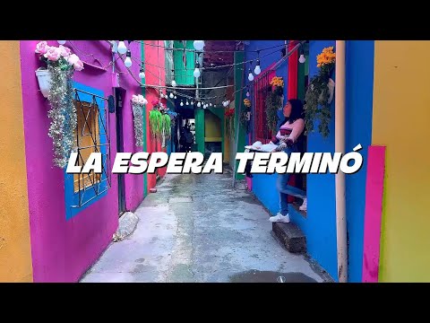 Get ready! Something NEW is about to begin 😱✨ NEW NOVEL from My Little Actors