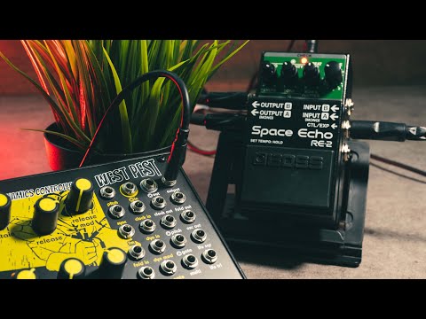 West Pest Demo and Thoughts with Space Echo RE-2