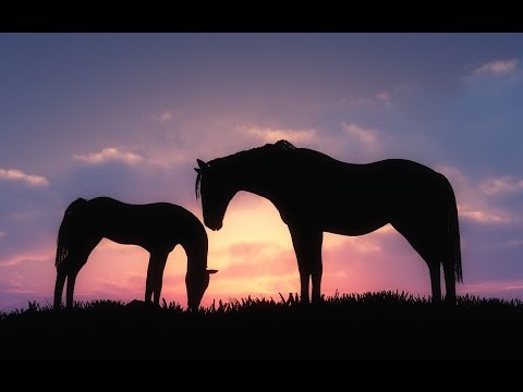♘ Hříbě - Helena Vondráčková, Václav Neckář ♘ [HD]