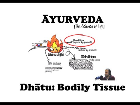 Ayurveda Dhatu Series Bodily Tissue: ~ INTRODUCTION - YouTube