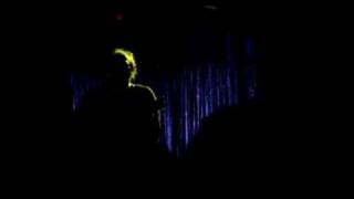 Lizard Music Video