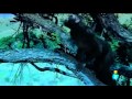 La Odisea De La Especie 1 Parte 1 4