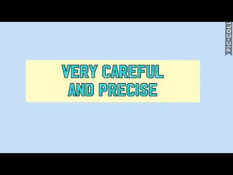 "meticulous" meaning (with examples)