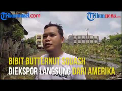 Menghilangkan lemak setelah Lipofilling Penurunan berat badan diet lyashek minggu di 10 kg