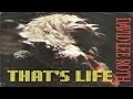 David Lee Roth - That's Life (1986) (Remastered) HQ