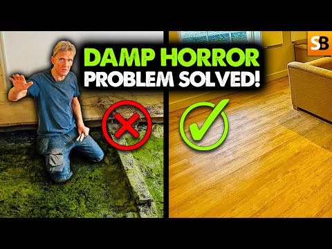 Why You Should Never Ignore Damp Floors!